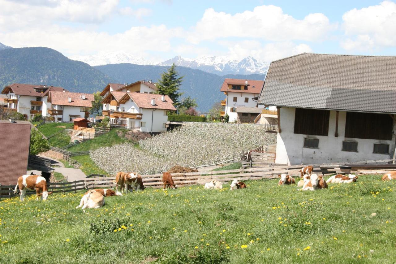 Schoetzerhof Meltina Buitenkant foto